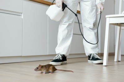 Auswirkung der Rodentizidsachkundeverordnung auf die Schädlingsbekämpfung