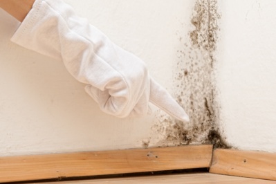 Schimmelbildung in der Mietwohnung